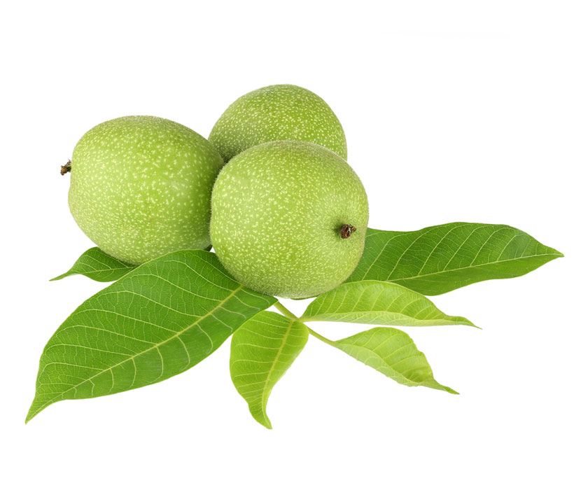 نهال گردو خوشه ای